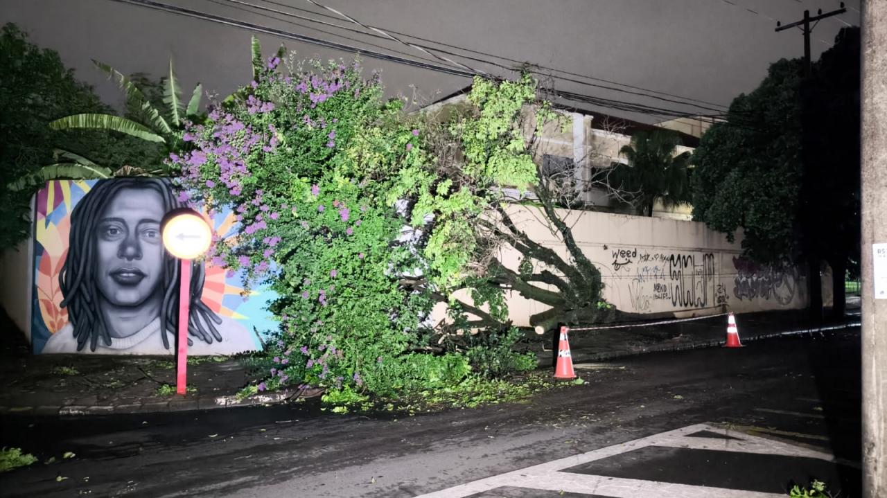 Foto 57 de 67 — TEMPORAL EM FOTOS: veja imagens de destruição em Araraquara